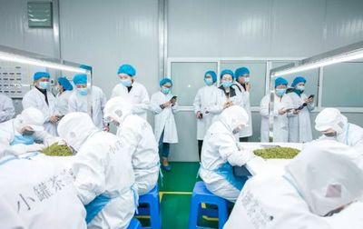 品春茶，透本质 小罐茶带来的360°全“心”感受