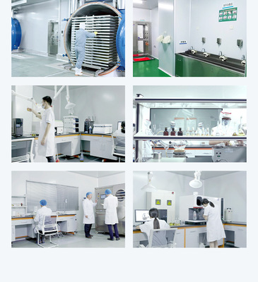 源头工厂直供 冻干水果酸奶块，解锁健康零食新风尚