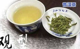 磐安茶香 探秘山城珍茗，品味自然馈赠